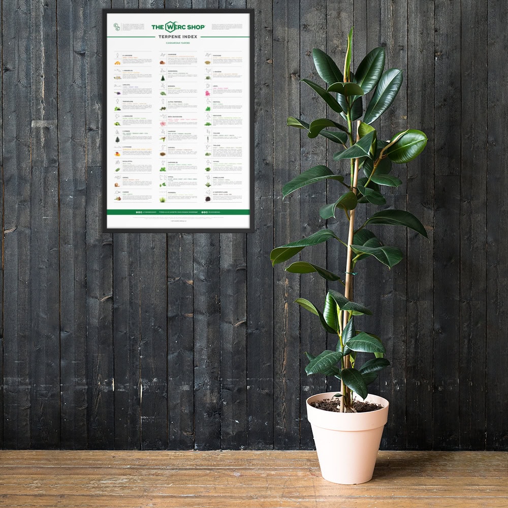 Terpene Index - Framed poster - Image 5