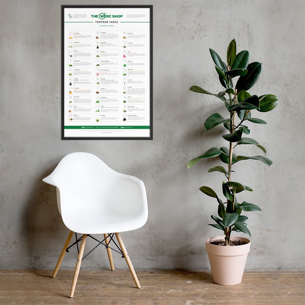 Terpene Index - Framed poster