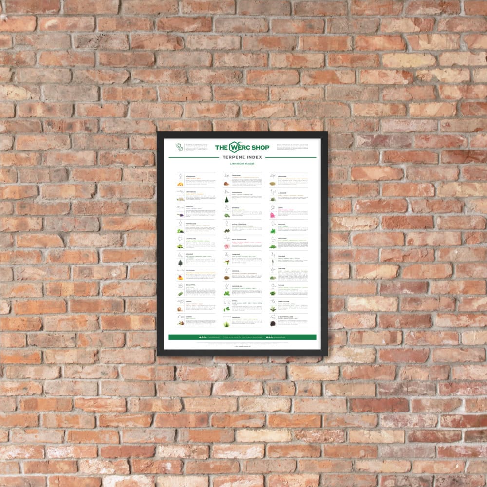 Terpene Index - Framed poster - Image 4