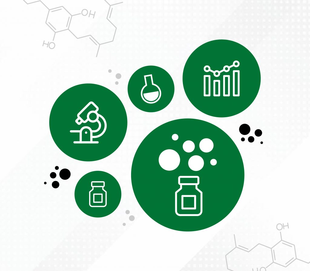 The Werc Shop State Of Cannabis  